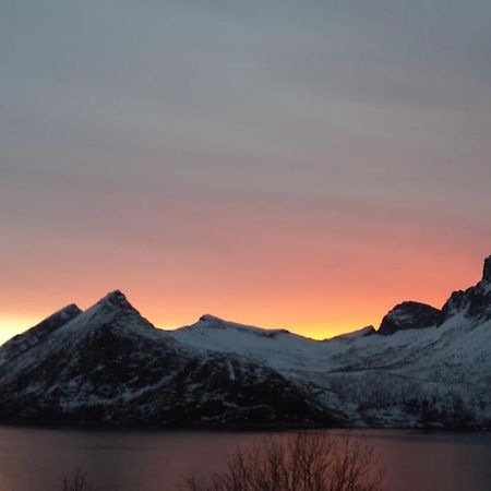 Senja, Husoy I Senja. Leilighet Med Utsikt Over Fjord Og Fjell Tofta Экстерьер фото