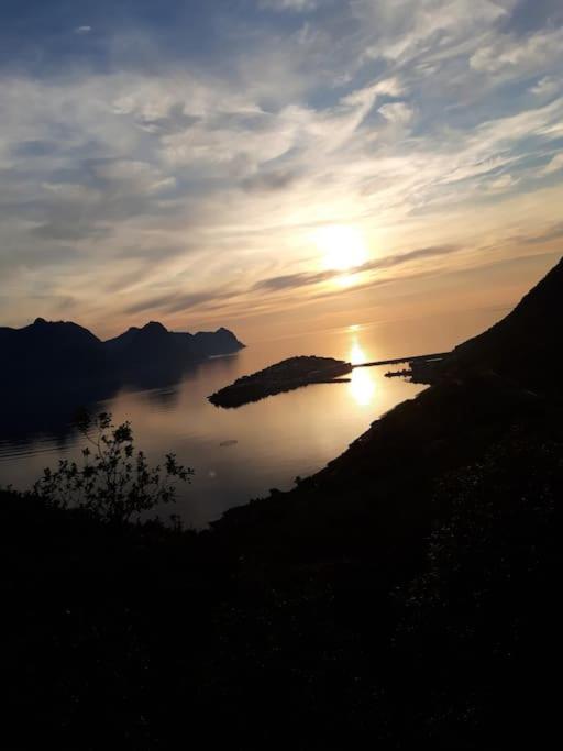 Senja, Husoy I Senja. Leilighet Med Utsikt Over Fjord Og Fjell Tofta Экстерьер фото