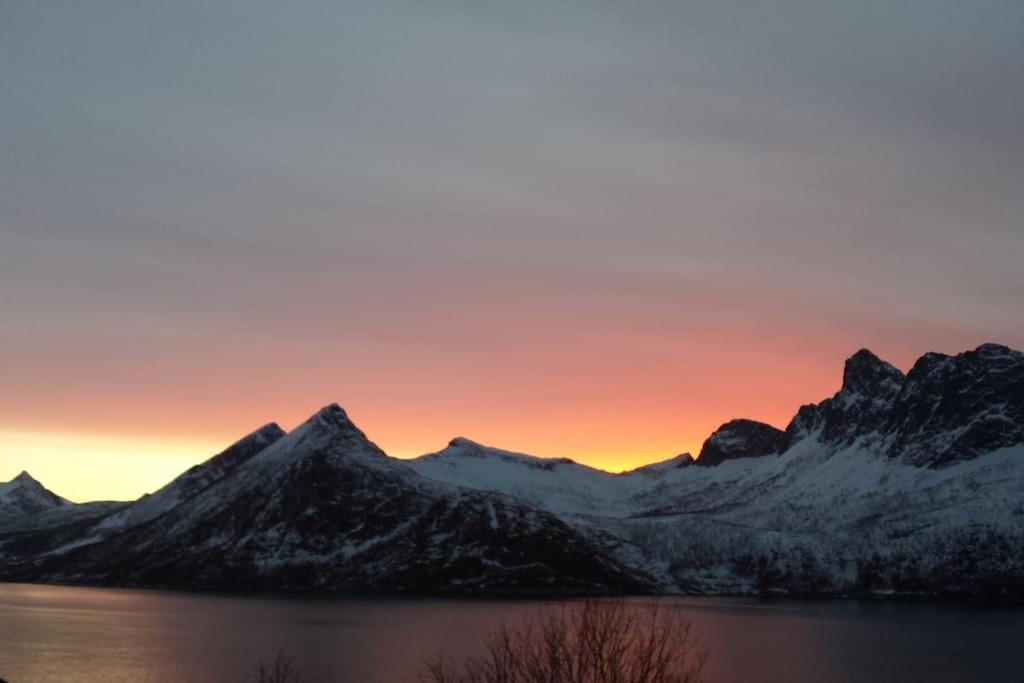 Senja, Husoy I Senja. Leilighet Med Utsikt Over Fjord Og Fjell Tofta Экстерьер фото