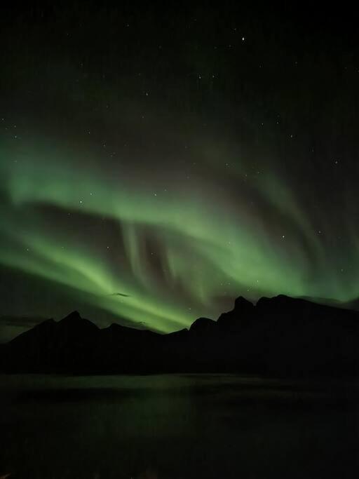 Senja, Husoy I Senja. Leilighet Med Utsikt Over Fjord Og Fjell Tofta Экстерьер фото